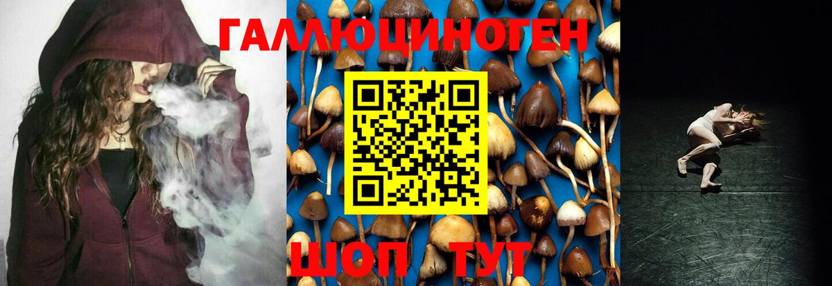 Псилоцибиновые грибы Magic Shrooms  Вход с VPN  Большой Камень 